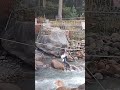 #Manali #BeasRiver #RiverCrossing #AdventureShort #HimachalPradesh #TravelIndia #snow #AdventureTime