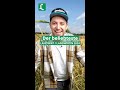 Wer wird beliebtester LANDWIRT 2024? #shorts