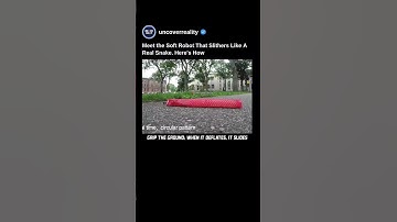 Meet The Soft Robot That Slithers Like A Real Snake. Heres How #robot #shorts #robotics