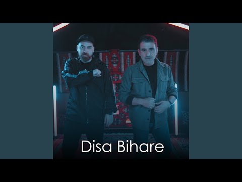 Disa Bihare