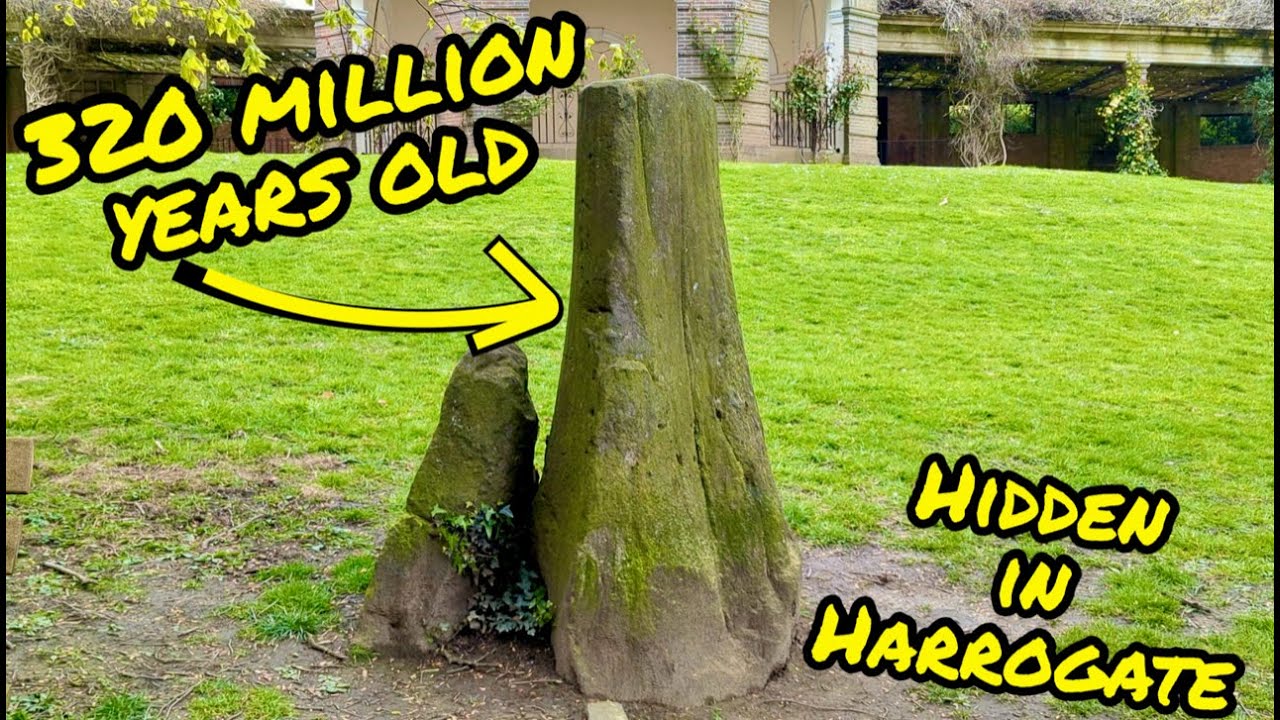320 Million Year Old Tree In Harrogate - Petrified Tree Discovered in the Valley Gardens.