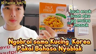 Chatting with Korean Cats Using Slang