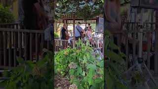 The Show ~ Anna May ~ KUTX Song of the Day Short Clip with Full band ✨