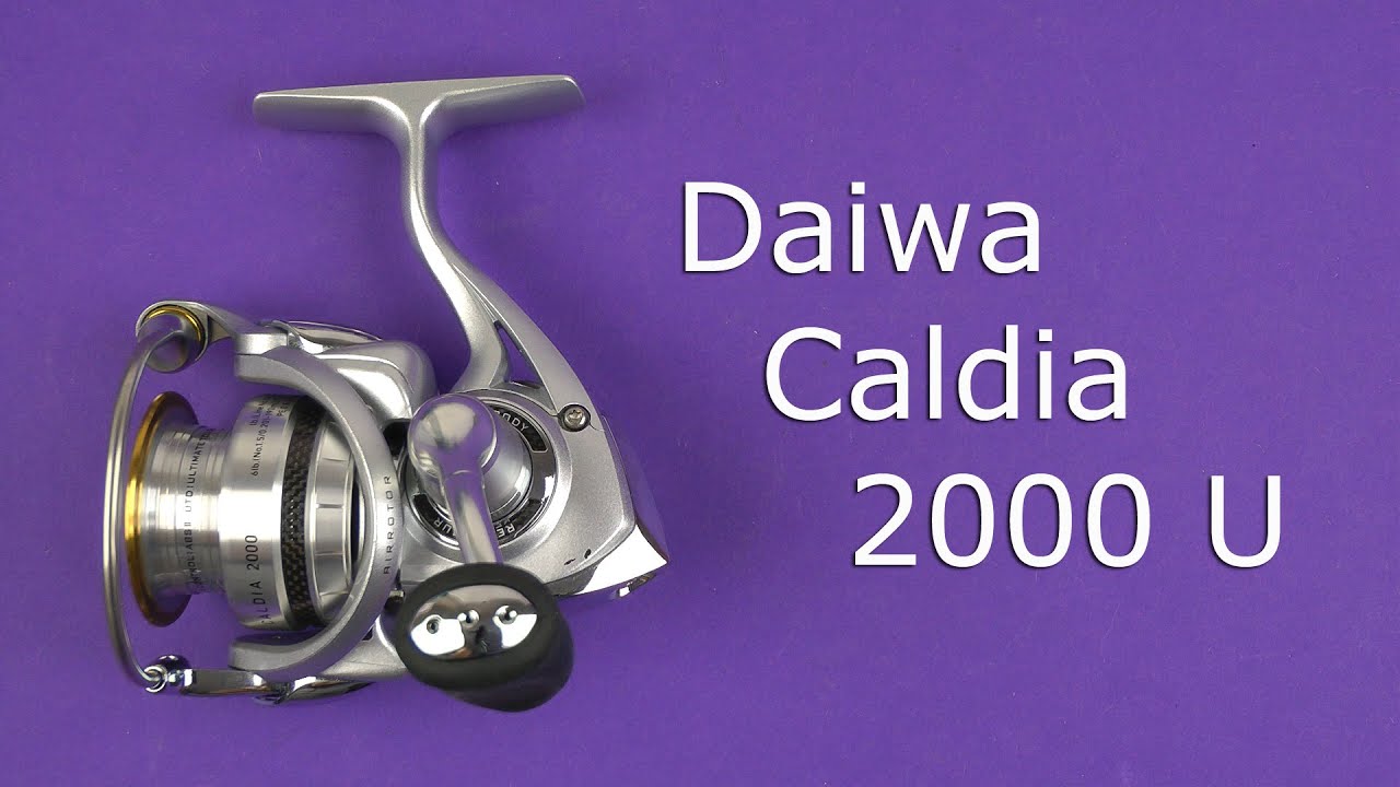 daiwa caldia 2000