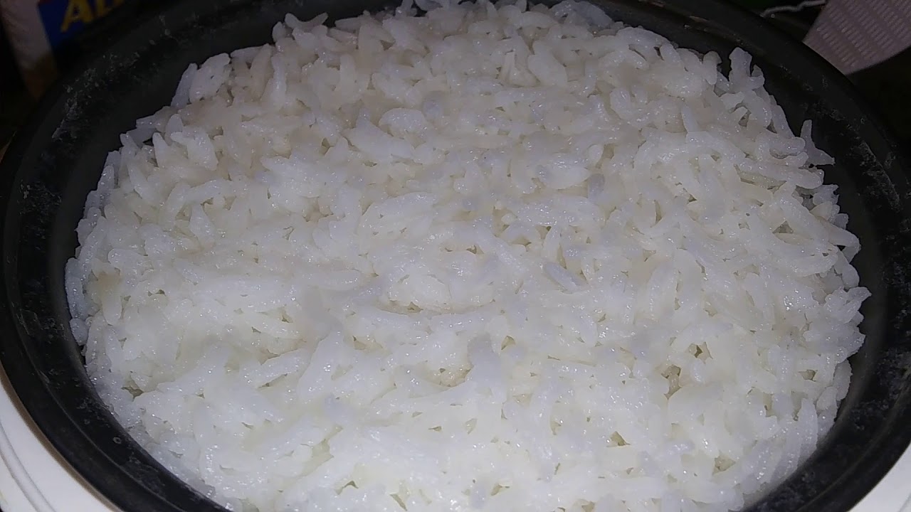 Results of the salmon and jasmine rice YouTube