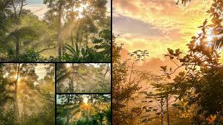 sunrise.m4v