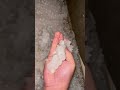 مطر ثلج صقيع سيول    العفاسي
