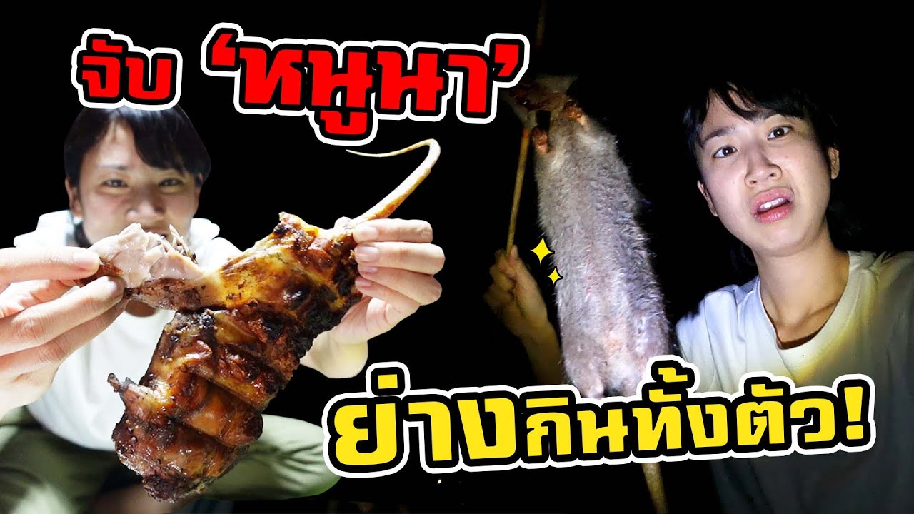 เมนูเด็ดอีสาน จับ ‘หนูนา’ ย่างกินทั้งตัว!  | Catch and Eat Rice Field Rat in Thailand