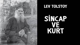 Sincap ve Kurt - Lev Tolstoy [Her Gün Bir Hikâye] Resimi