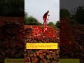 The Birth of Burning Red Bricks #work #brick