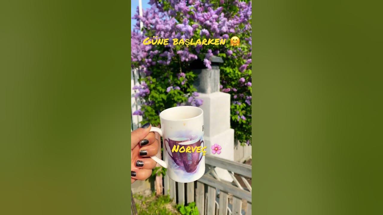 funny turkey birds flowers goodmorning nature feelhappy 