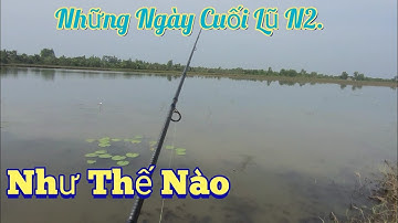 Tình Hình Lũ N2 Ngày Nước Rút. Trần Tài Vlog