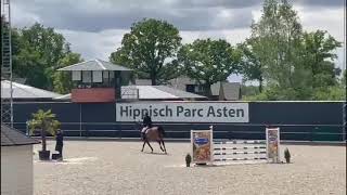 Vamos van 't Meerhof