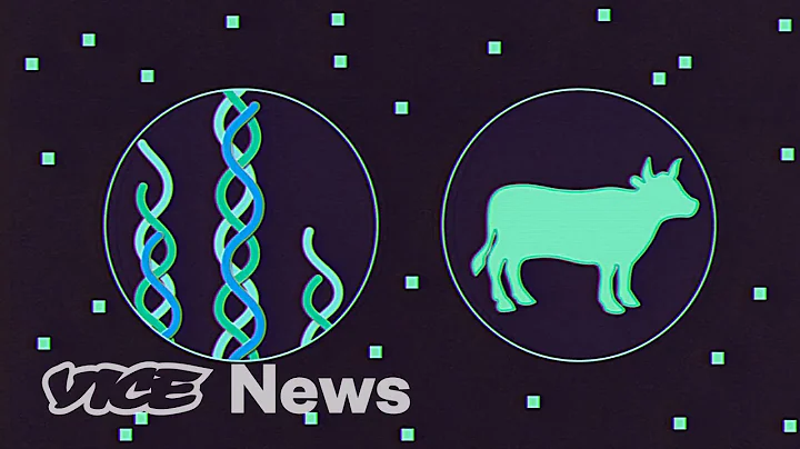 You Don't Need Cows to Make Leather | Materialistic