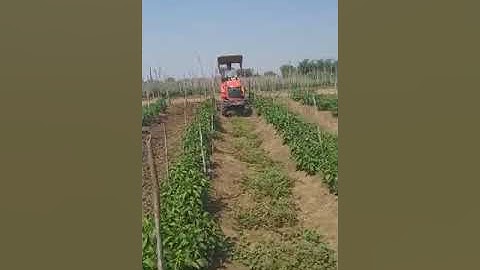 Shaktiman reverse forward rotary tiller