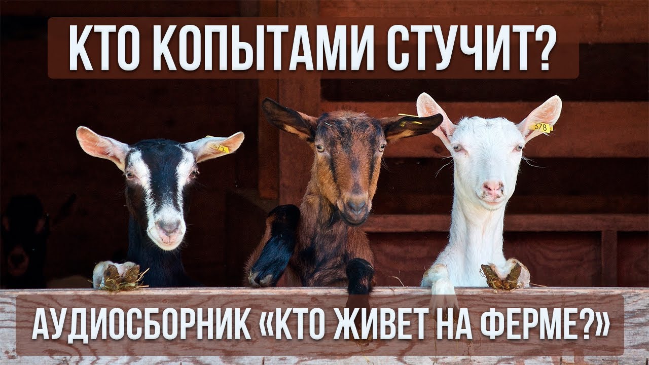 Логоритмика для малышей. "Кто копытами стучит?" - YouTube