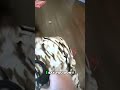 Elderly Woman Handcuffed: What Happened Next? #shorts