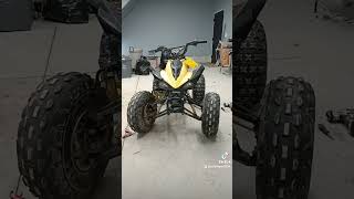 The New Quad Tao Tao 125