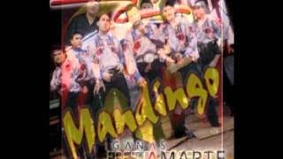 Mandingo  ( Te Va a Doler  )