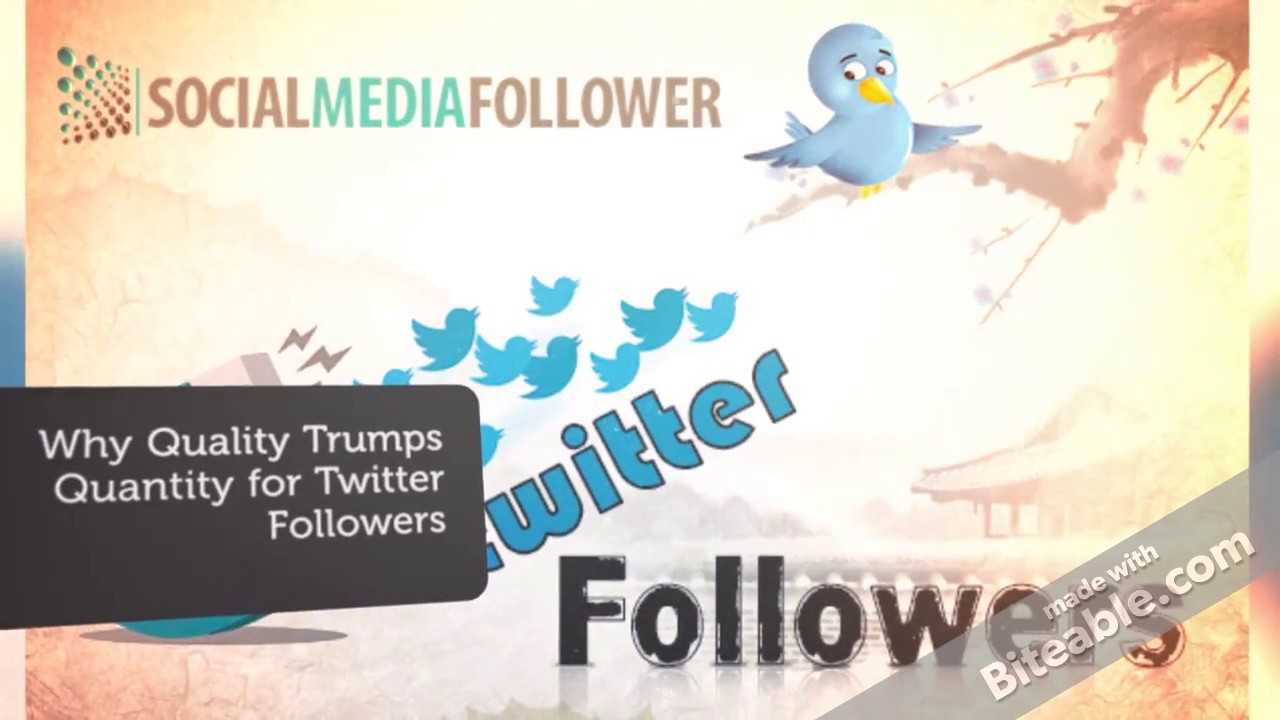 Buy Social Media Followers from Social Media Follower - YouTube