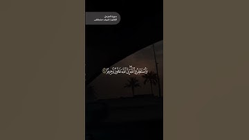 مقتطف من سورة المزمل ( 20 ) | شريف مصطفى