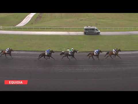 Mindyourvalue W.F. - Prix Sans Dire Oui - Vincennes - 21/12/18 - Mindyourvalue W.F. - Prix Sans Dire Oui - Vincennes - 21/12/18