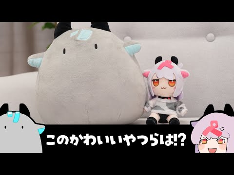 ペケコ 5日まで ぺ。tube / ペケこ - YouTube