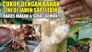 🔵 D.K : Rahasia sapi lahap makan jerami dan gemuk cepat tanpa obat !!