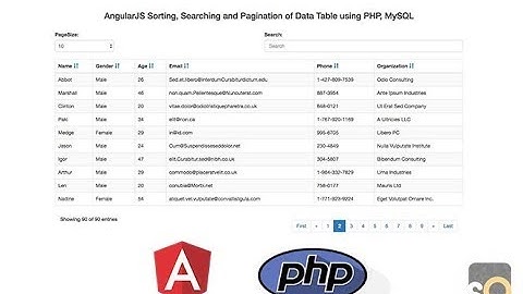 AngularJS Sorting, Searching and Pagination of Data Table using PHP & MySQL