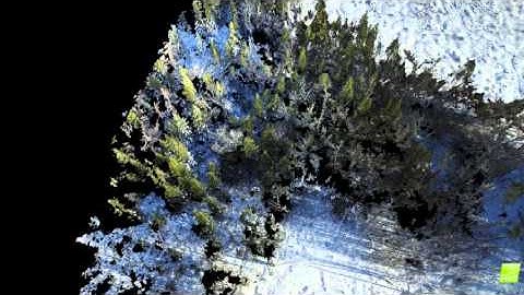 Early Test for forest structure and snow mapping.