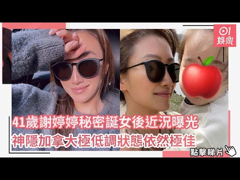 謎團揭開【謝婷婷帶著女兒生父回港定居】萬萬沒想到，藏了5年的男人竟是他，謝賢謝霆鋒氣炸了！【三言两娱】#謝婷婷#謝賢#謝霆鋒