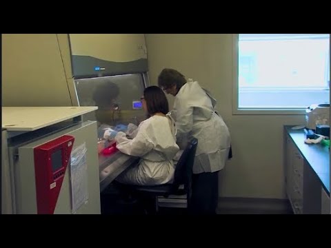 მივიწყებული ვირუსი გააქტიურდა -მიიღებს თუ არა მაიმუნის ყვავილი პანდემიის სახეს