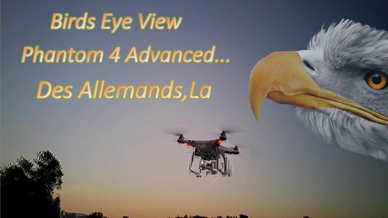 Phantom 4 Advanced Des Allemands,La