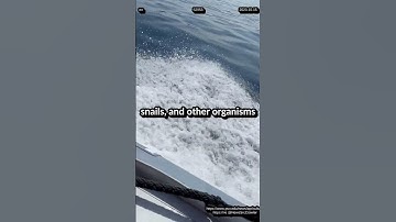 #honeybees inherit altruistic behavior from their mothers. Thousands of DNA cutters found in algae