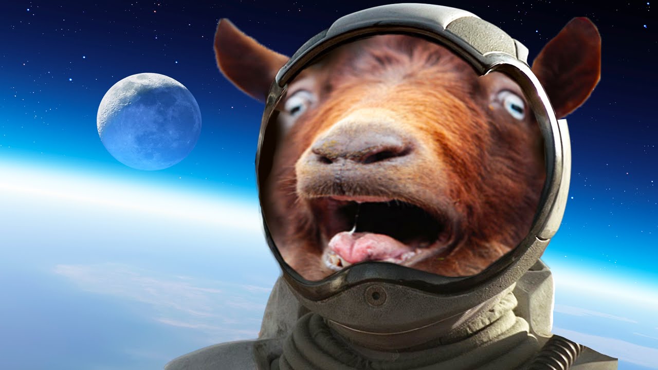 goat simulator game box