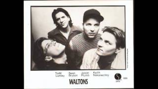 Video-Miniaturansicht von „The Waltons - In The Meantime“