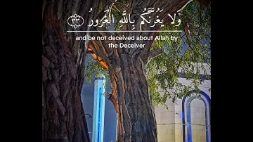 روائع ليلة ( ٢٤ ) رمضان ١٤٤٥ - القارئ أحمد العبيد