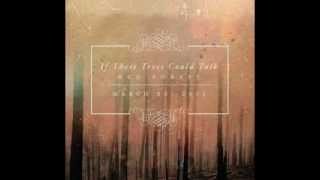 If These Tree Could Talk - 2012 - Red Forest.mp4