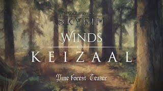 Skyrim: Winds of Keizaal - Pine Forest