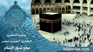 سورة التحريم ( القارئ الشيخ أحمد نصر العريقي )