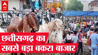 बकरीद पर रायपुर के सीरत बाजार में उमड़ी भीड़; लाखों में है बकरों की कीमत | Chhattisgarh News