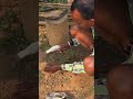 #adivasiculture #adivasi #fishcutting #shortschallenge