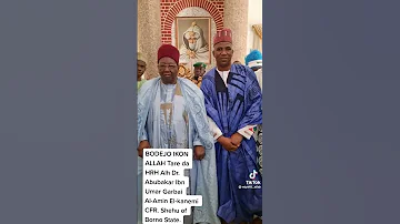 Lamido Fulbe Bello Bodejo Viral Trending Fulfulde Miyettiallah Lamido Bornostate 