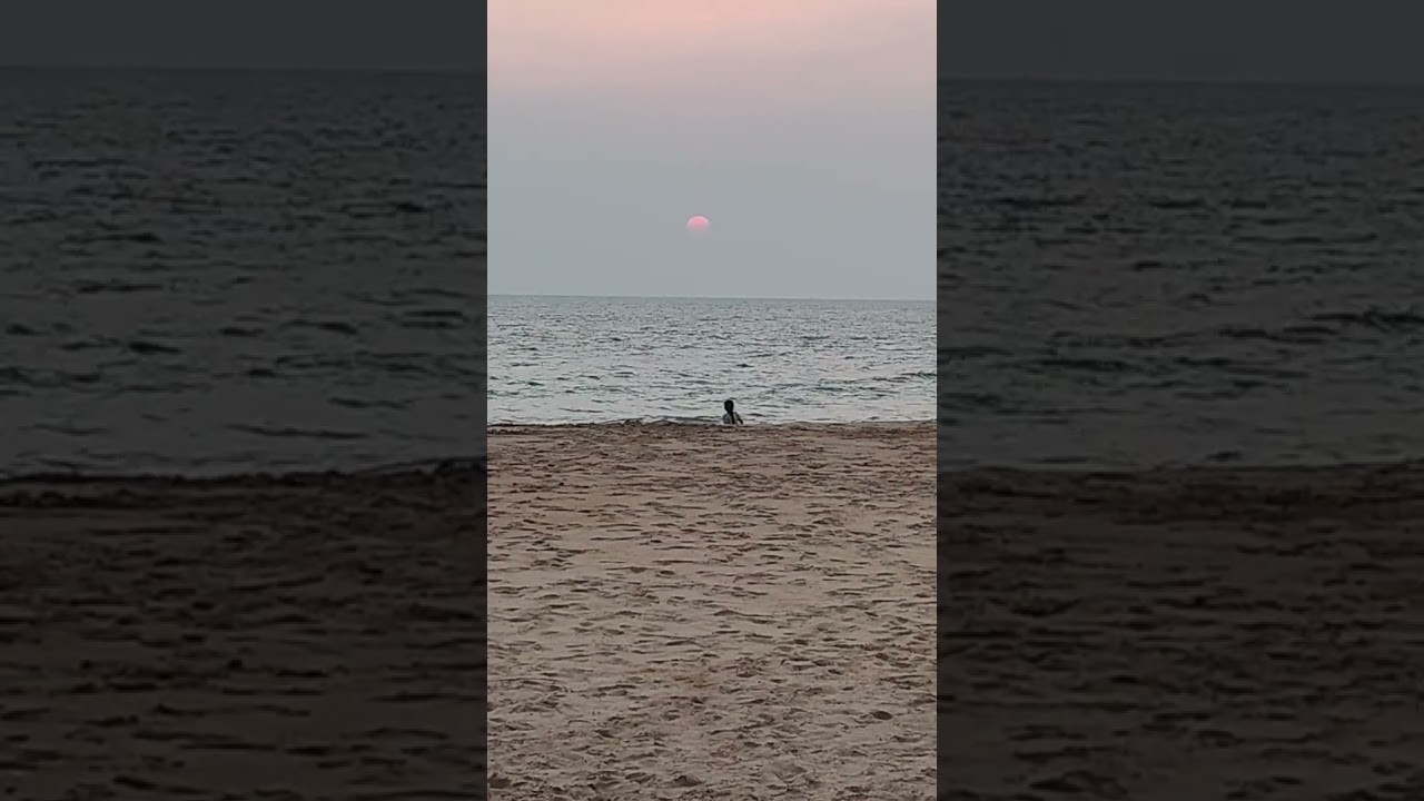 МилаЯ ⚛️16.01.2026 👁️ COCONUT CLUB⚛️ СудьБА 