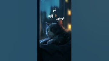 أَرح سمعك_القرآن الكريم♥️😔 #عبدالرحمن_مسعد_تلاوة_جديدة