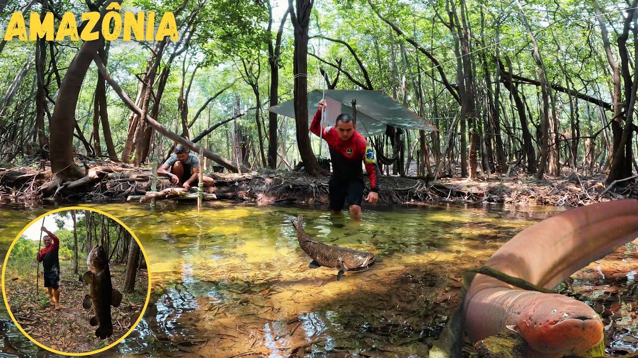 🏕🎣ACAMPAMENTO na margem de um IGARAPÉ  infestado de  PORAQUÊ e TRAÍRAS MONSTRA