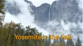 Fall in Yosemite National Park | October Visit, Fewer Crowds, Bears, Waterfalls & Trails | Van Life