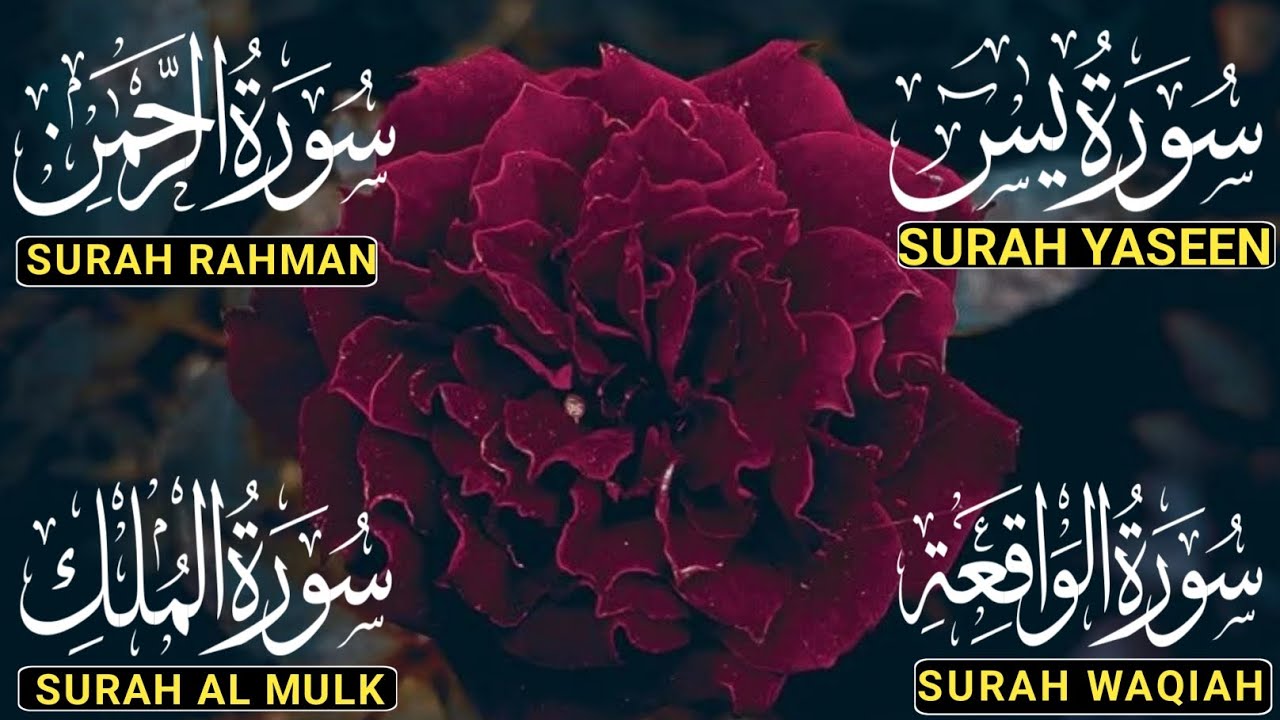 Surah Yaseen ❤ Surah Rahman ❤ Surah Al Waqia ❤ Surah Al mulk Soothing Quran recitation | Ep208