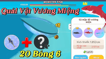 Play Together | Mình Đã Thử Thách 24h Câu Full Bóng 6 Cá Quái Vật  Bằng Cách Này Và Cái Kết 