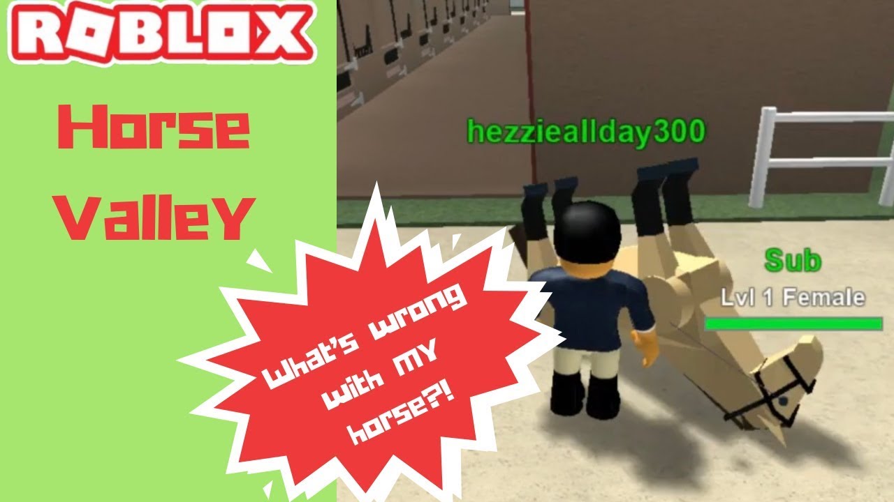 Roblox Horse Valley How The Heck Do You Level Up Youtube - roblox horse valley script